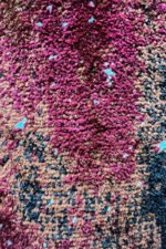 wall to wall carpet