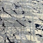 Carpet, Wall to wall carpet, carpets