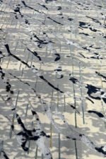 Carpet, Wall to wall carpet, carpets