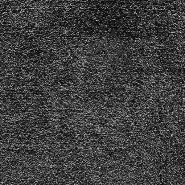 Rustic Revival Black Wall to Wall Carpet