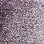 Soft Embrace Purple Wall to Wall Carpet