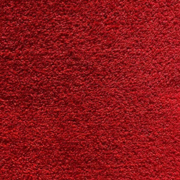 Rustic Revival Red Wall to Wall Carpet
