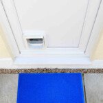 Door Mat RMT-905 1.6x2.3ft