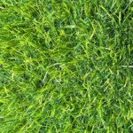 20mm Artificial Grass