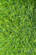 20mm Artificial Grass