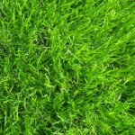 40mm Artificial Grass