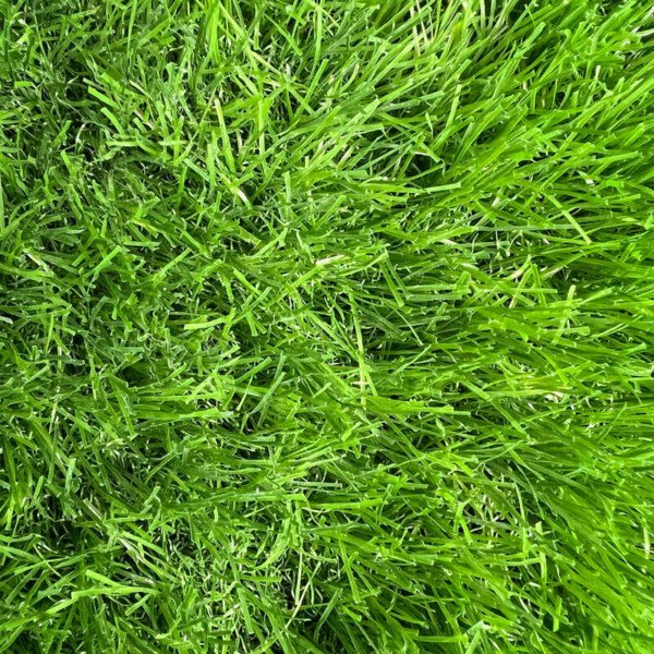 50mm Artificial Grass