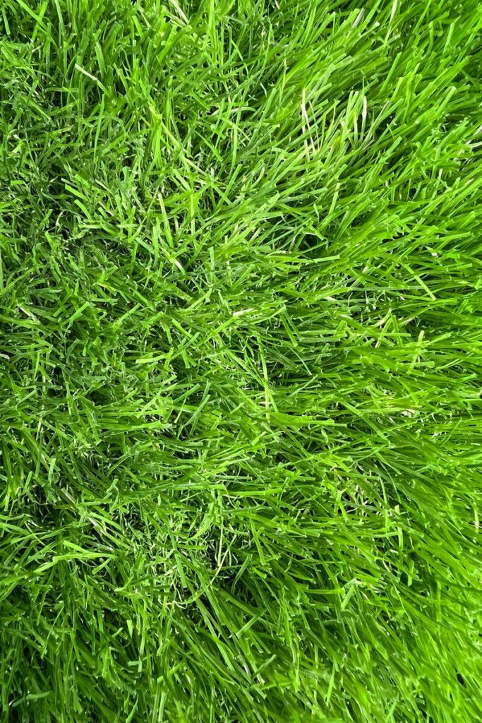 50mm Artificial Grass