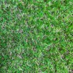 Natural looking artificial grass