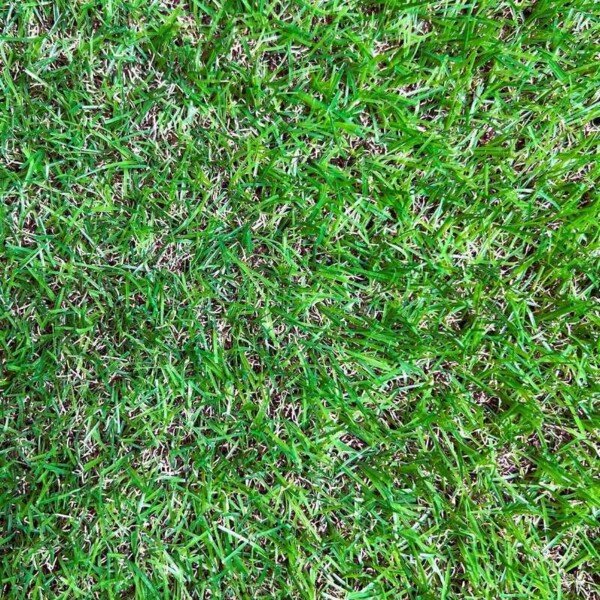 Natural looking artificial grass