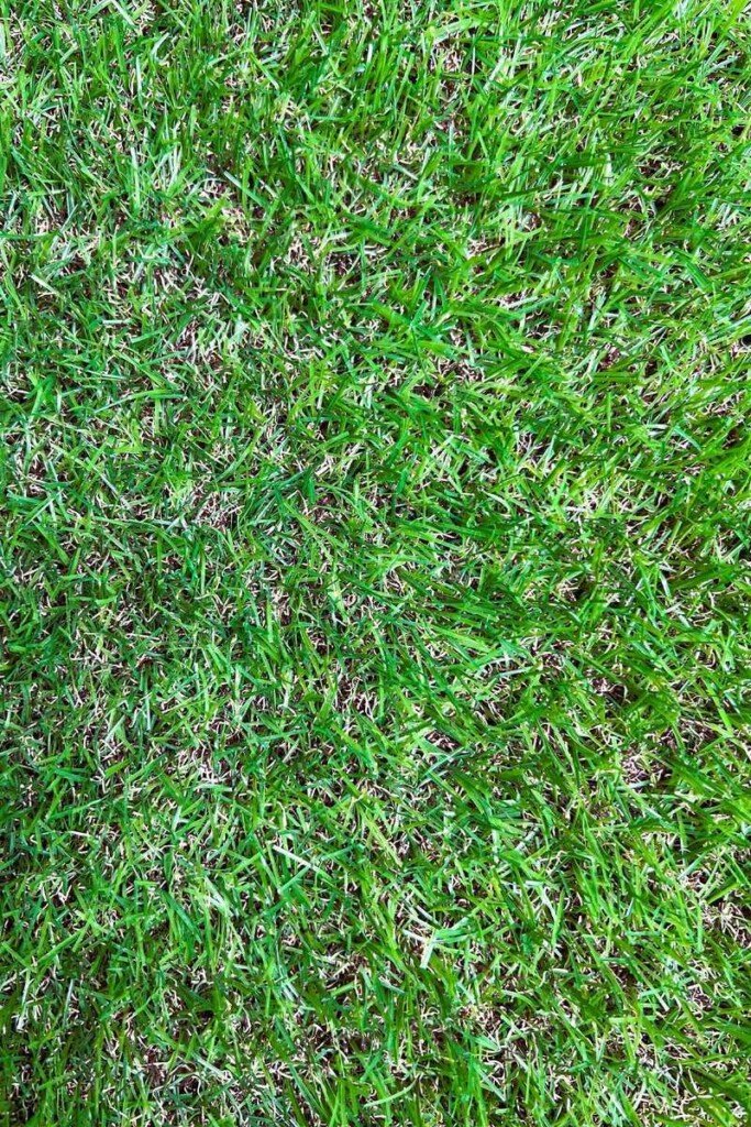 Natural looking artificial grass