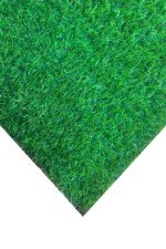 Artificial Grass