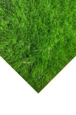 50mm Artificial Grass