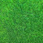 60mm Artificial Grass