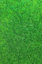 60mm Artificial Grass