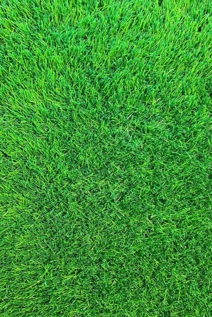 60mm Artificial Grass