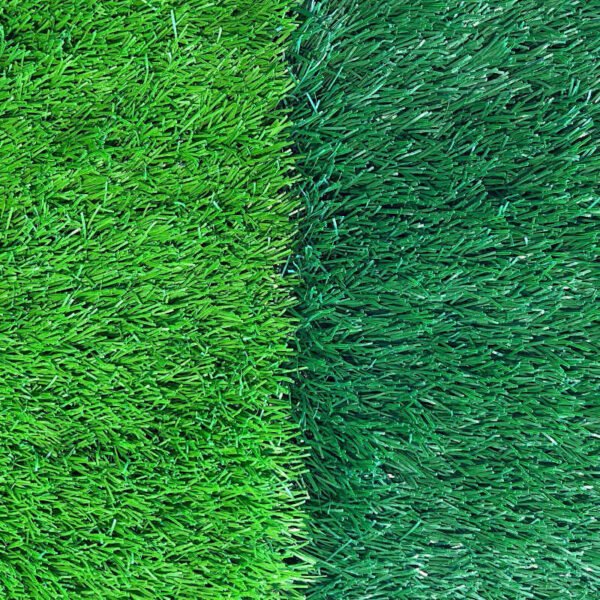 Football Grass