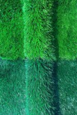 Football Grass