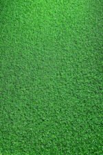 Golf Grass