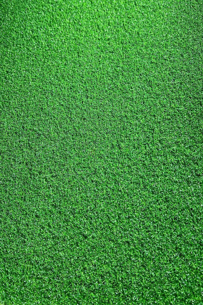 Golf Grass
