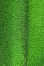 Golf Grass
