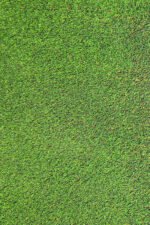 American Artificial Grass