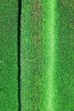 American Artificial Grass