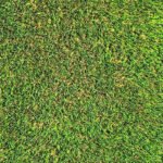 American Artificial Grass