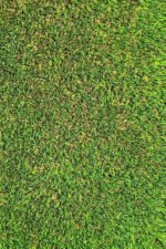American Artificial Grass