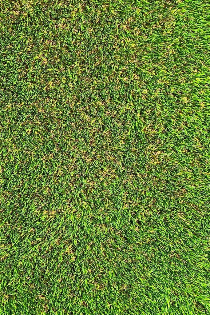 American Artificial Grass