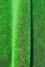American Artificial Grass